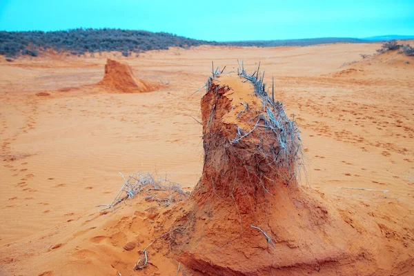 Kalmykia, Rusland - Zandpilaren in de semi-woestijn. — Stockfoto