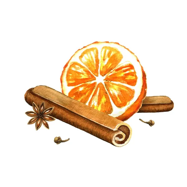 Rebanada de naranja, canela y anís estrellado. Ilustración de acuarela — Foto de Stock