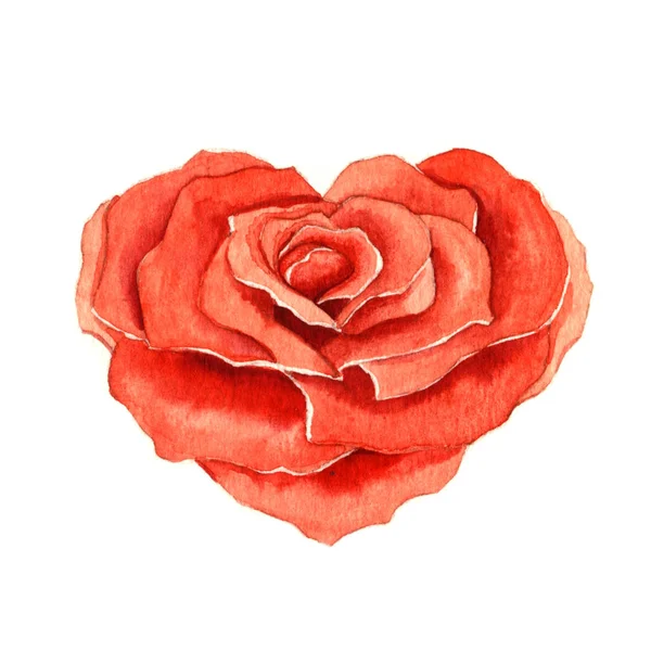 Rose in the shape of a heart — Stock Photo, Image