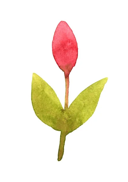 Větev s růžovou Bud — Stock fotografie