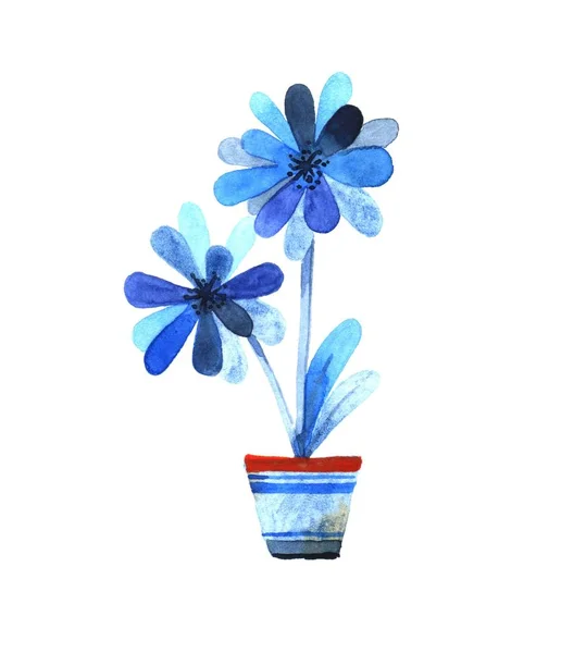 Blue flowers in a pot — Stock Photo, Image