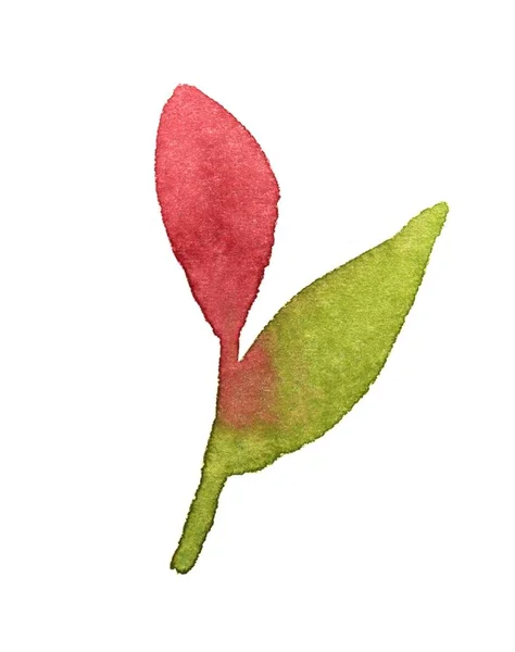 Branche avec bourgeon rose — Photo