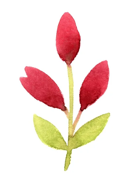 Větev s růžovými květy — Stock fotografie