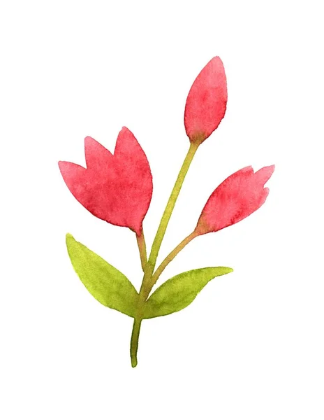 Гілка з рожевими квітами — стокове фото