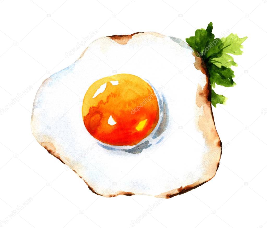fried egg. Watercolor
