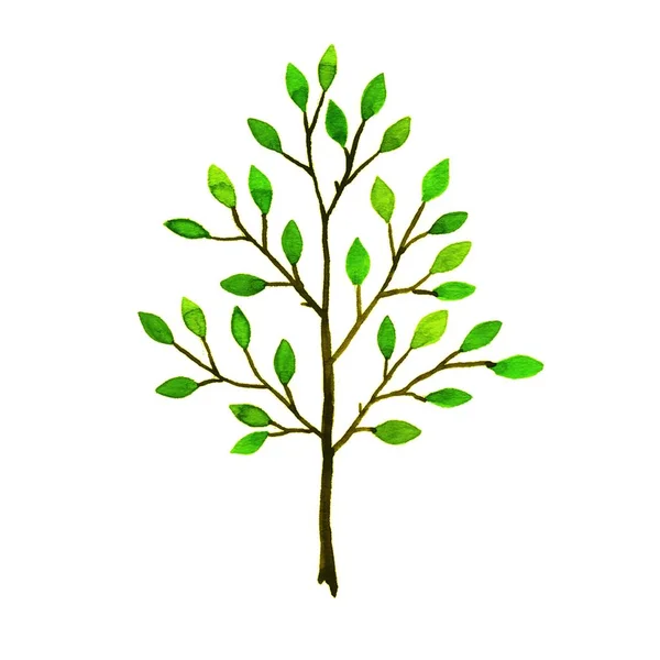 Baum. Handgezeichnetes Aquarell — Stockfoto