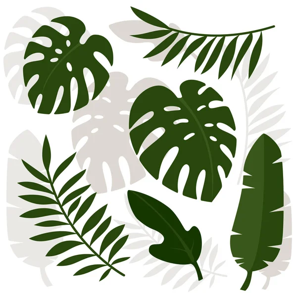 Hojas tropicales. Ilustración vectorial . — Archivo Imágenes Vectoriales