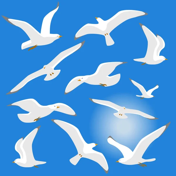 孤立在蓝色背景上的海鸥 — 图库矢量图片