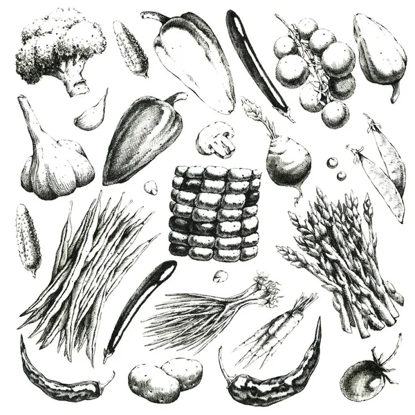 Handgezeichnetes Schwarz Weißes Gemüseset Nur Jpeg — Stockfoto