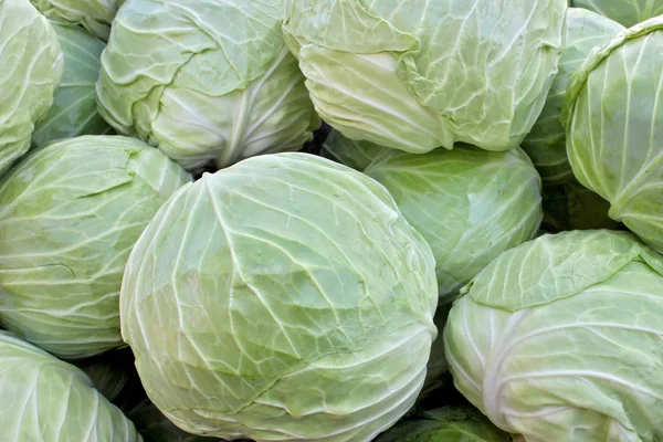Cabbage on the market in Bulgaria — Stock Photo, Image