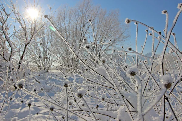 Valkoinen talvi maisema — kuvapankkivalokuva