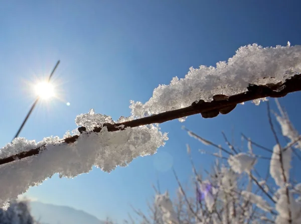 Paysage d'hiver blanc — Photo