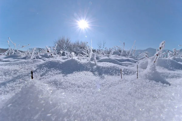 Paesaggio invernale con sole — Foto Stock