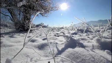      Kış Güneşi, yatay