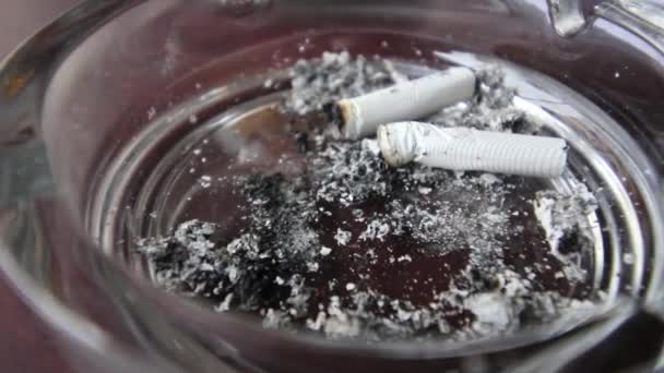 Cigaretový popel ránu ve větru - hd video — Stock video