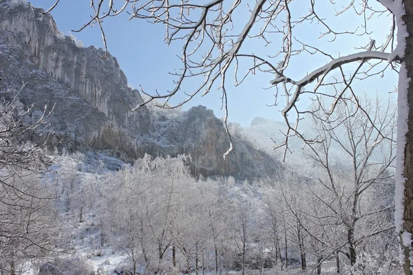 Bulgaristan'ın kış manzarası — Stok fotoğraf