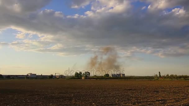 Fumée de cheminée et champ de maïs devant la cheminée, vidéo HD — Video