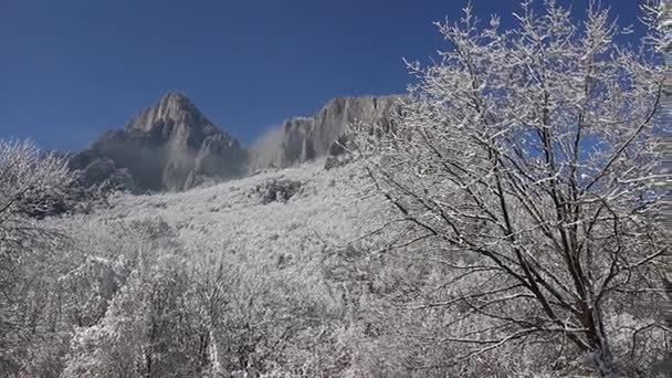 Fryst träd och stenar, Vratsa, Visa från vägen för Lednika, Bulgarien, hd-video — Stockvideo