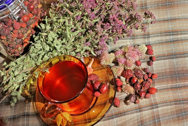 Xícara Chá Orégano Base Plantas Com Flores Secas — Fotografia de Stock