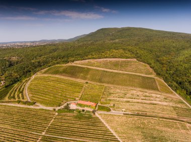 Bağ üzerinden kuş bakışı manzaralar