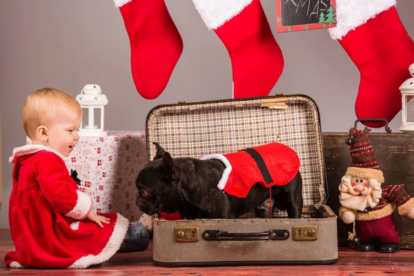 Baby santa girl with dog in studio — Stock Photo, Image