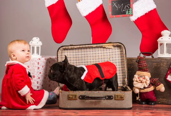 Baby santa girl with dog in studio — Stock Photo, Image