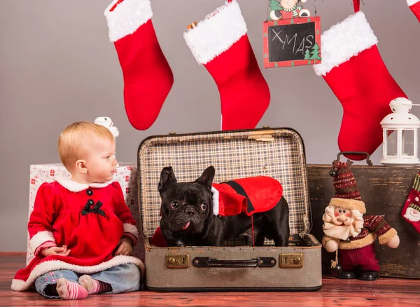 Baby santa girl with french bulldog — Stock Photo, Image