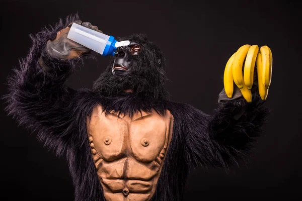 Gorila en estudio — Foto de Stock