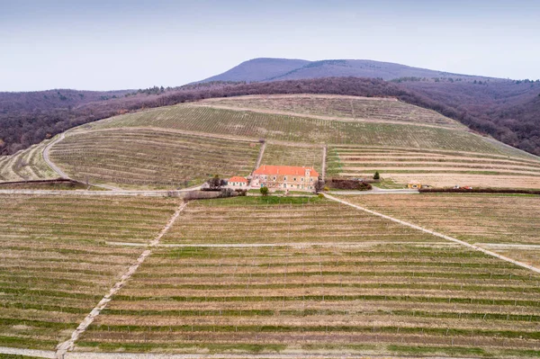 Vista aérea del viñedo — Foto de Stock