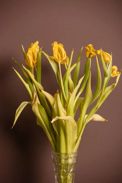 Bouquet appassito di tulipani — Foto Stock