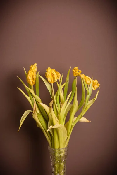 枯萎的郁金香花束 — 图库照片