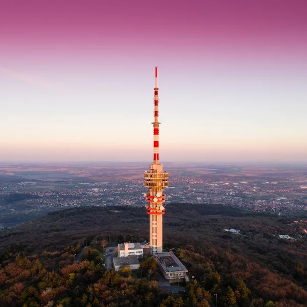 Televizní věž v lese — Stock fotografie