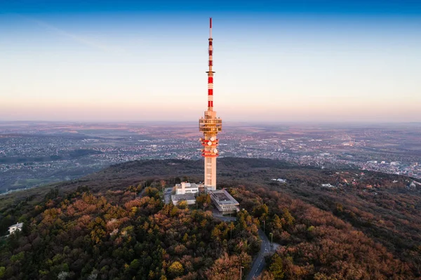 Fernsehturm im Wald — Stockfoto