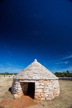 Istrian barınak kazun
