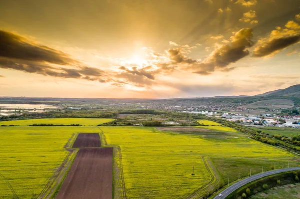 Rapsåker med stormig himmel — Stockfoto