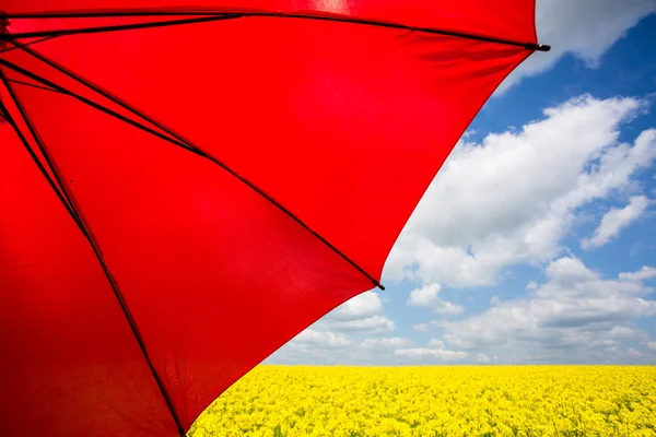 Rapsfeld mit rotem Regenschirm — Stockfoto