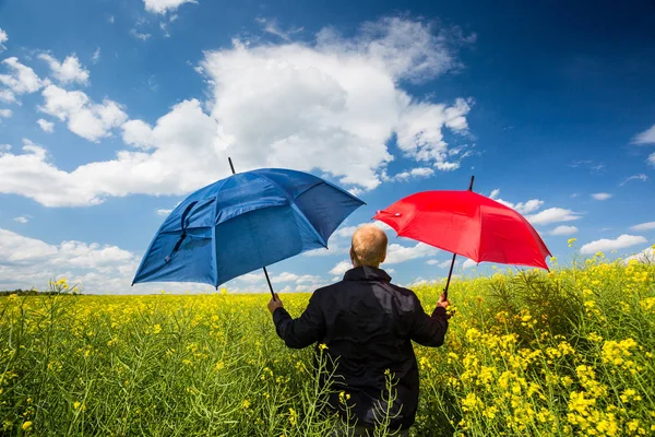 Geschäftsmann im Rapsfeld mit Regenschirm — Stockfoto