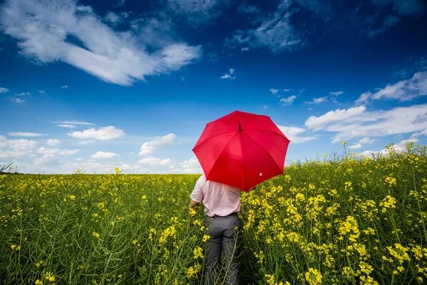 Empresário em campo de estupro com guarda-chuva — Fotografia de Stock