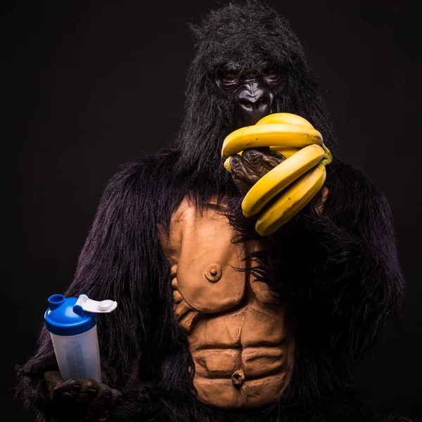 Gorilla im Studio — Stockfoto