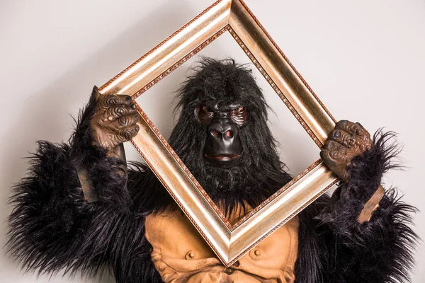 Gorilla in studio — Stock Photo, Image