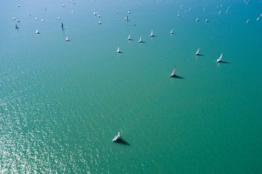 Beyaz yelkenli tekneler 