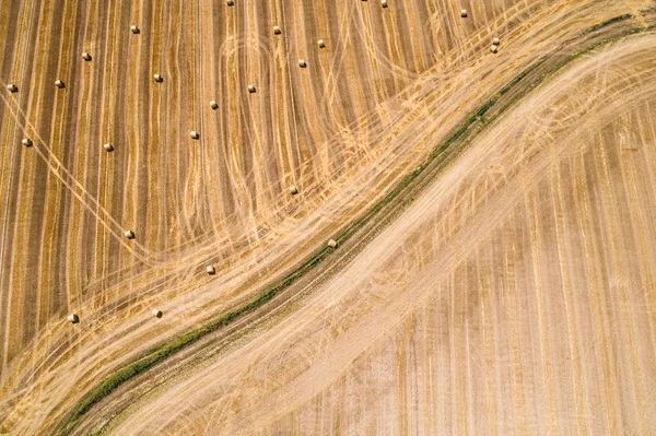収穫シーズン中に黄金の干し草の俵 — ストック写真