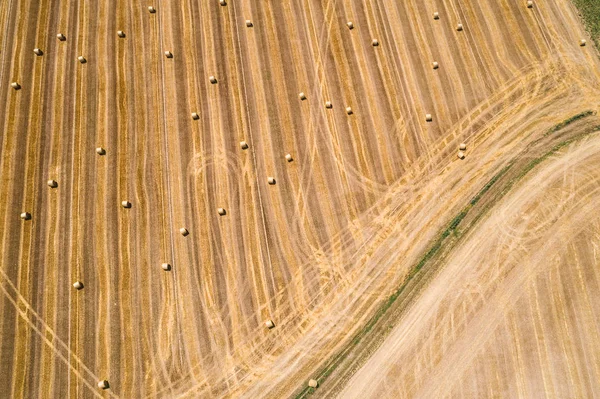 Золотые тюки сена во время сезона сбора урожая — стоковое фото