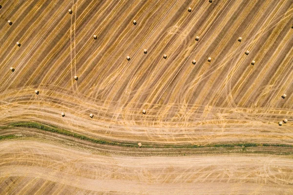 Fardos de feno dourado durante a época de colheita — Fotografia de Stock