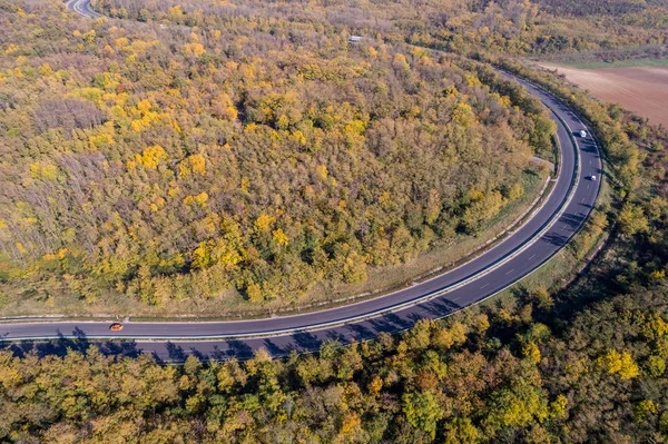 curved road through the autumn forest