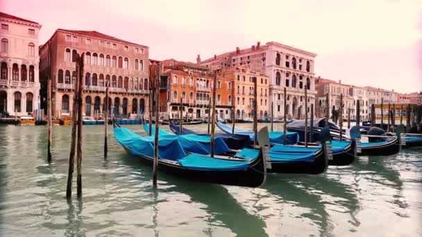 Venedig mit Gondeln — Stockvideo