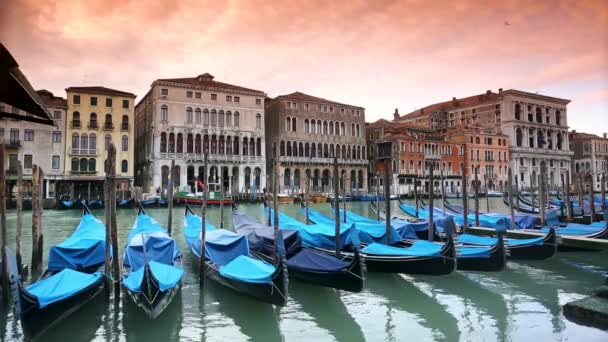 Venedig med gondoler — Stockvideo