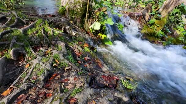 Водоспади у Плівіце - озерах — стокове відео