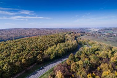 Sonbahar ormanı boyunca yol 