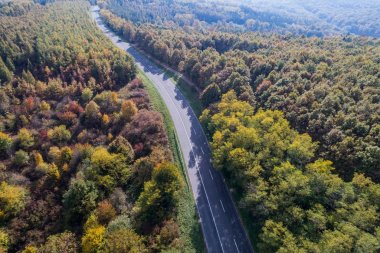 Sonbahar ormanı boyunca yol 
